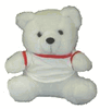 #B15, 8" TEDDY BEAR(CA4064)